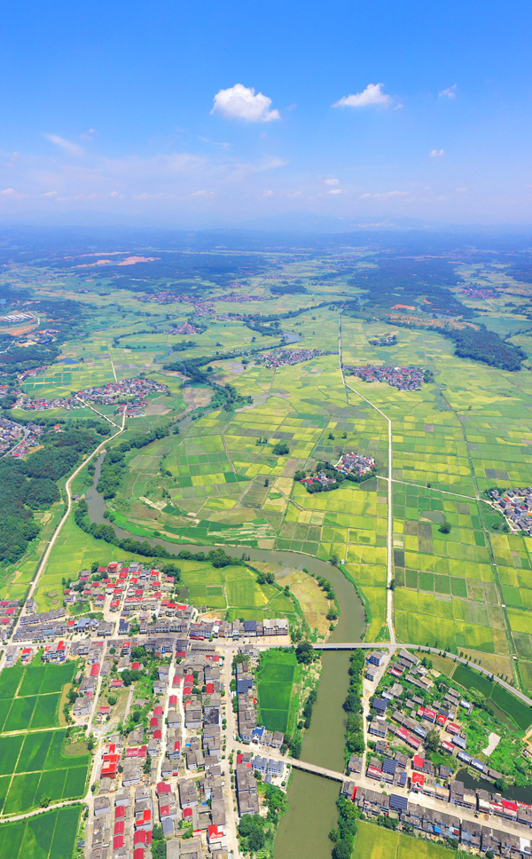 無人機鏡頭下的上高縣泗溪鎮官橋村美麗田園風光。陳旗海攝