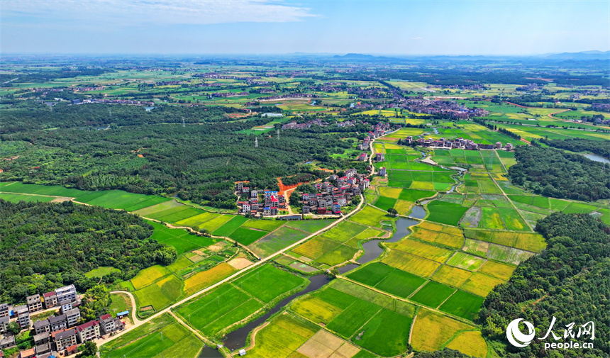 航拍豐城市石灘鎮裴家村，風景秀美如畫。人民網 朱海鵬攝