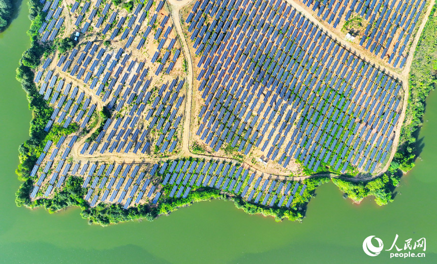 崇仁縣農光互補發電站，連片的太陽能發電板如同藍色海洋，熠熠生輝。人民網 朱海鵬攝