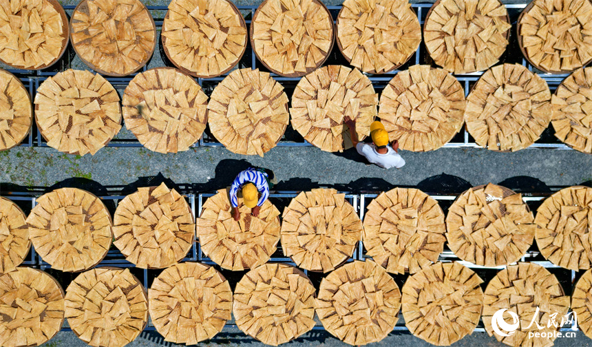 村民忙著晾曬手工腐竹。人民網 朱海鵬攝