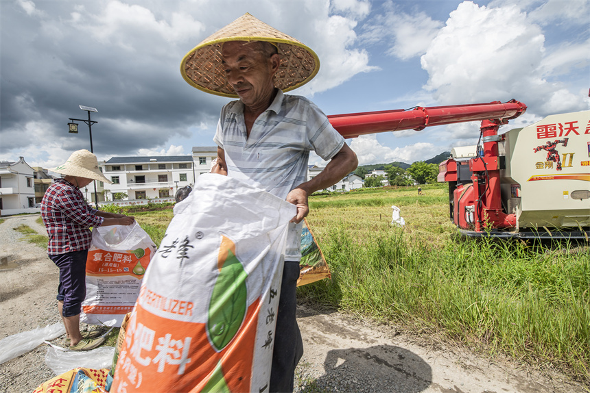 夏糧豐，倉廩實，人歡喜。張元兵攝