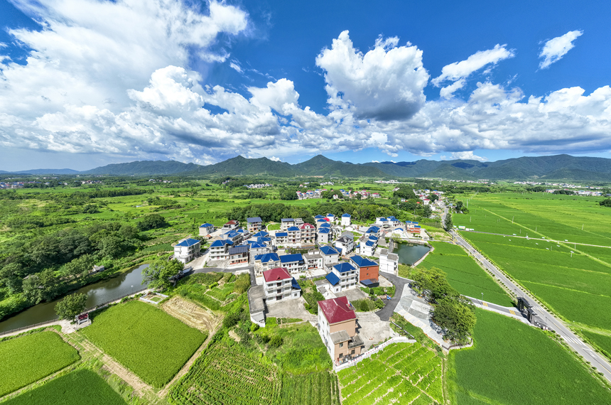 航拍湖口縣武山鎮武前村，藍天白云下的村居和糧田相互映襯，構成一幅美麗的鄉村畫卷。張玉攝