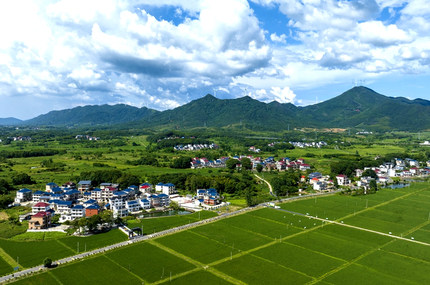 航拍湖口縣武山鎮武前村，藍天白云下的村居和糧田相互映襯，構成一幅美麗的鄉村畫卷。張玉攝