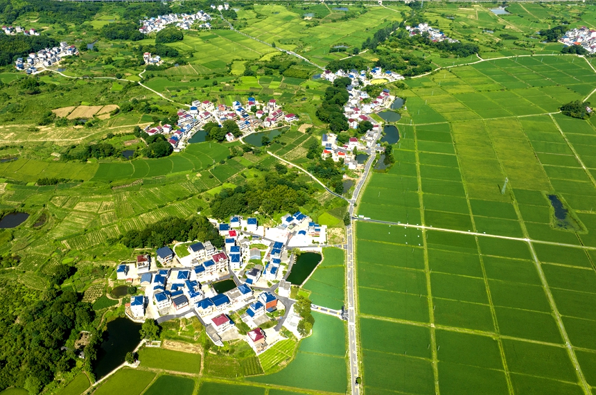 航拍湖口縣武山鎮武前村，藍天白云下的村居和糧田相互映襯，構成一幅美麗的鄉村畫卷。張玉攝