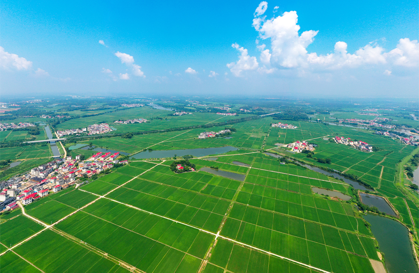 近日，無人機鏡頭下上高縣錦江鎮新華村美麗的鄉村景色。陳旗海攝