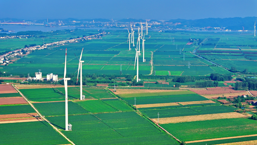 九江市柴桑區江洲風電場，48臺風力發電機組迎風旋轉。人民網 朱海鵬攝