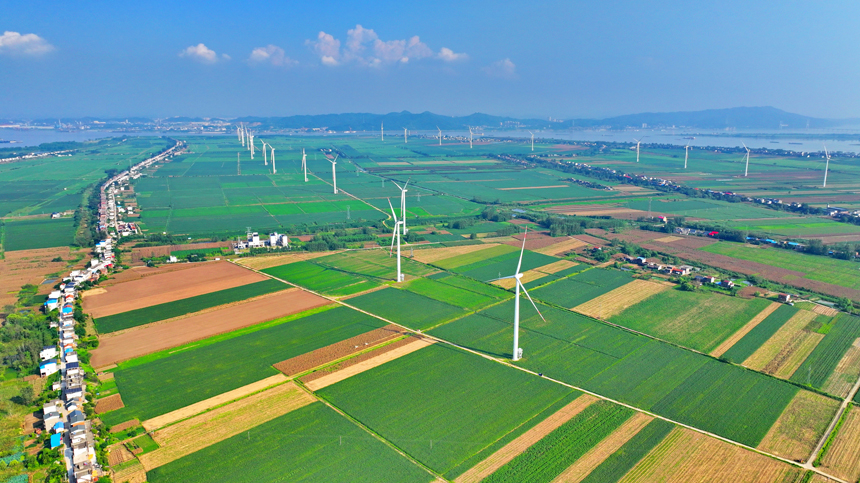 九江市柴桑區江洲風電場，48臺風力發電機組迎風旋轉。人民網 朱海鵬攝