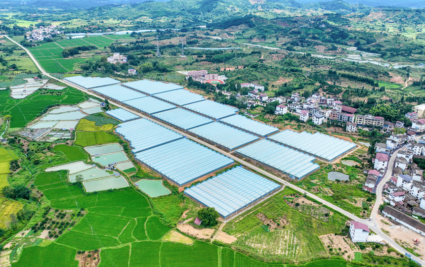 俯瞰南豐縣桑田鎮大棚蔬菜基地，連片大棚與民房、田野相互映襯，山鄉風景秀美如畫。李煜祖攝