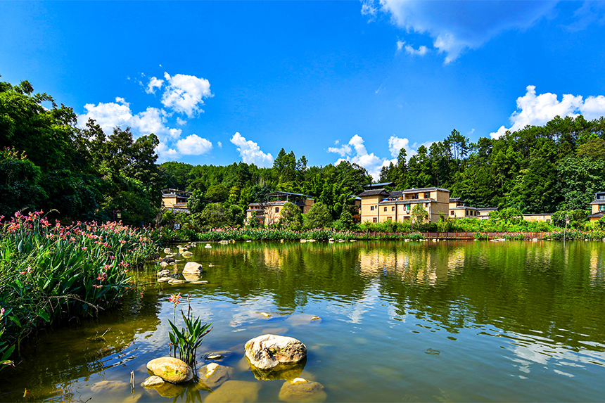 航拍下的黃砂口村，在藍天白云的映襯下美不勝收。詹繼成攝