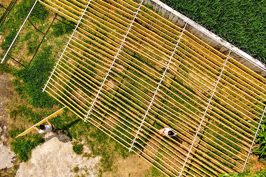 工人正在晾曬腐竹。詹繼成攝