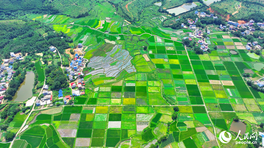航拍信豐縣西牛鎮東甫村，宛如一幅秋季美麗鄉村畫卷。人民網 朱海鵬攝