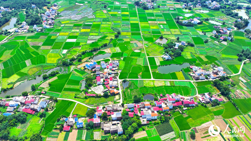 航拍信豐縣西牛鎮東甫村，宛如一幅秋季美麗鄉村畫卷。人民網 朱海鵬攝