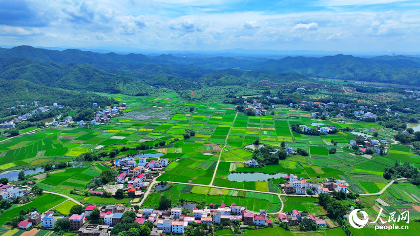 航拍信豐縣西牛鎮東甫村，宛如一幅秋季美麗鄉村畫卷。人民網 朱海鵬攝
