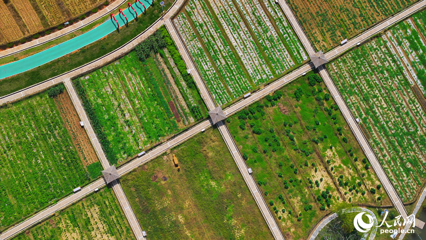 航拍信豐縣西牛鎮東甫村，宛如一幅秋季美麗鄉村畫卷。人民網 朱海鵬攝