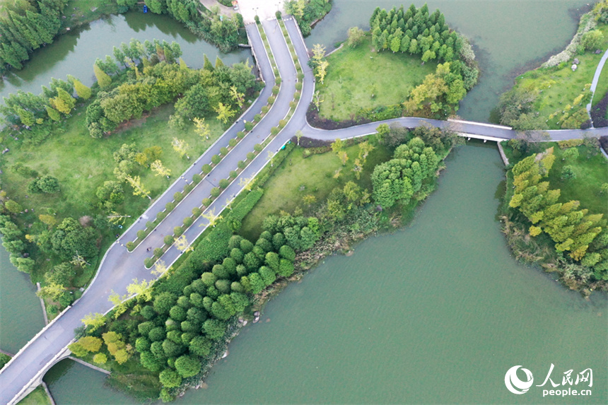 南昌市象湖城市濕地公園發揮了城市“綠肺、綠腎”功能，讓人們享受城市里的親水空間。 人民網記者 時雨攝