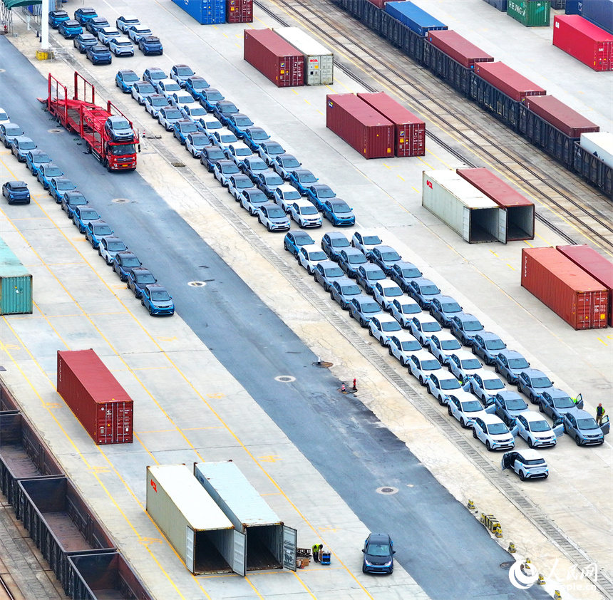 大型吊裝設備在裝運出口的國產電動載人汽車。人民網 朱海鵬攝