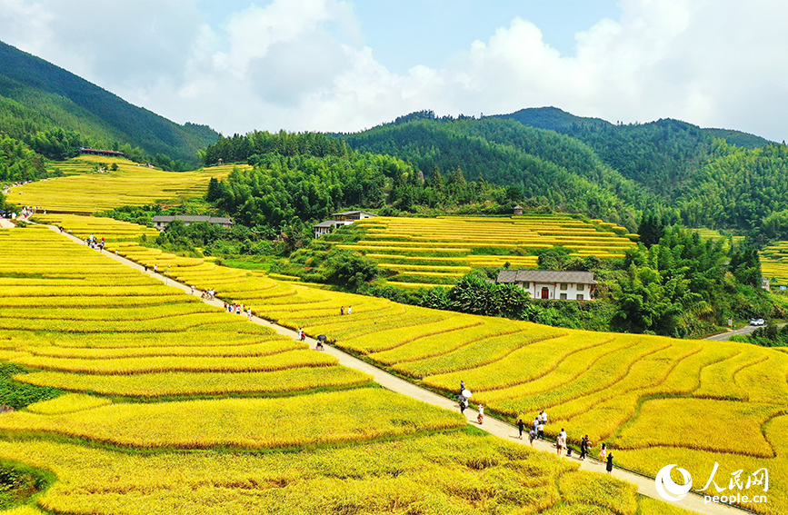 航拍江西省贛州市崇義縣上堡鄉上堡梯田。人民網 朱海鵬攝