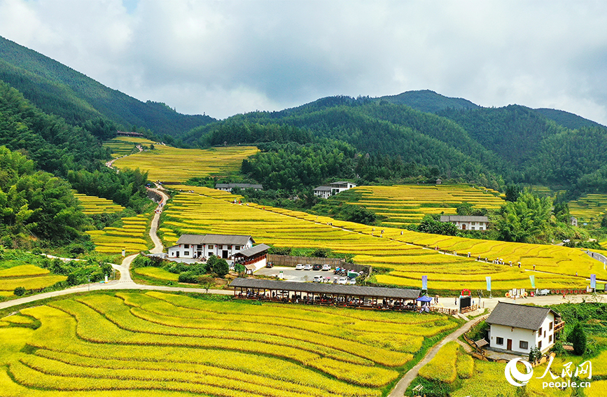 航拍江西省贛州市崇義縣上堡鄉上堡梯田。人民網 朱海鵬攝