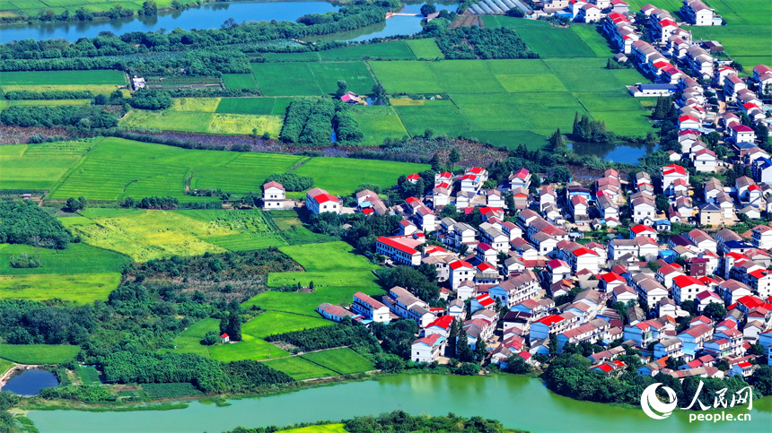 航拍江西省南昌市南昌縣富山鄉灘上村，鱗次櫛比的農房與濕地、田園相映成趣。人民網 朱海鵬攝