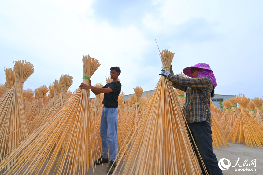 近日，江西省撫州市廣昌縣旴江鎮清水村的一家毛竹加工基地，村民在晾曬竹絲。人民網 朱海鵬攝