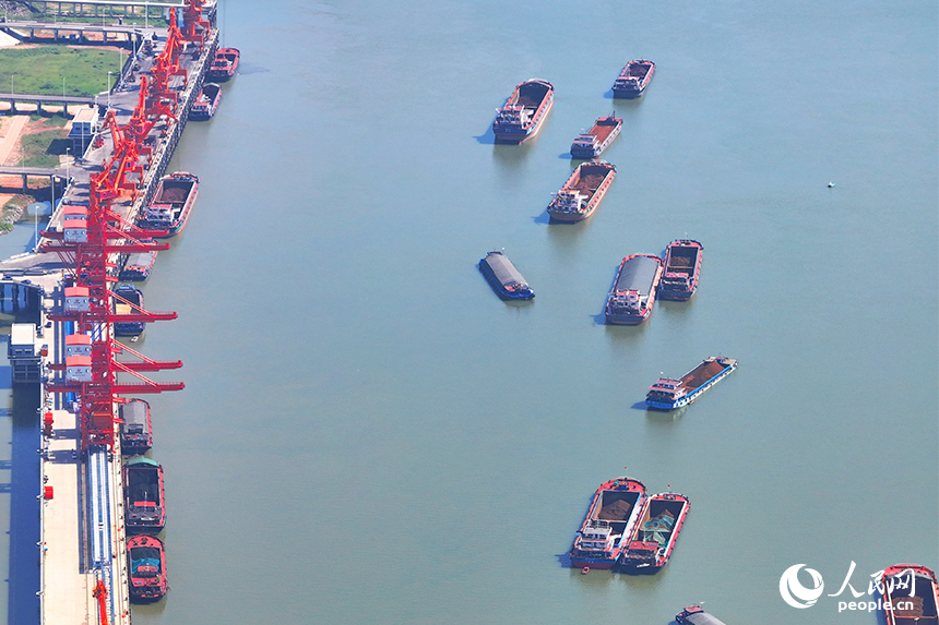 集裝箱裝卸作業有序進行，碼頭一片繁忙景象。人民網 朱海鵬攝