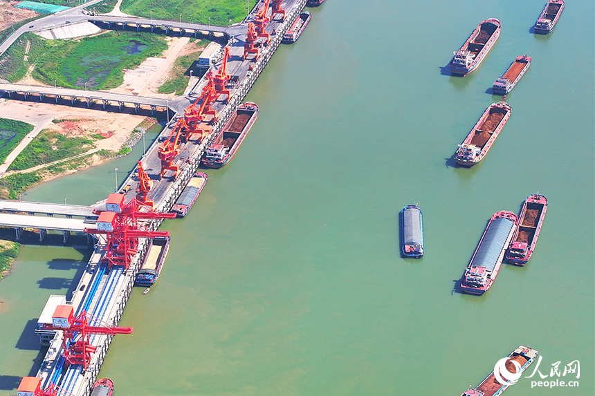 集裝箱裝卸作業有序進行，碼頭一片繁忙景象。人民網 朱海鵬攝