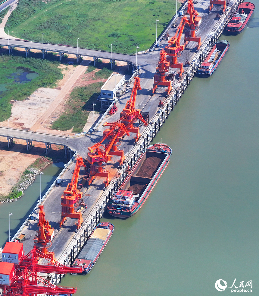 集裝箱裝卸作業有序進行，碼頭一片繁忙景象。人民網 朱海鵬攝