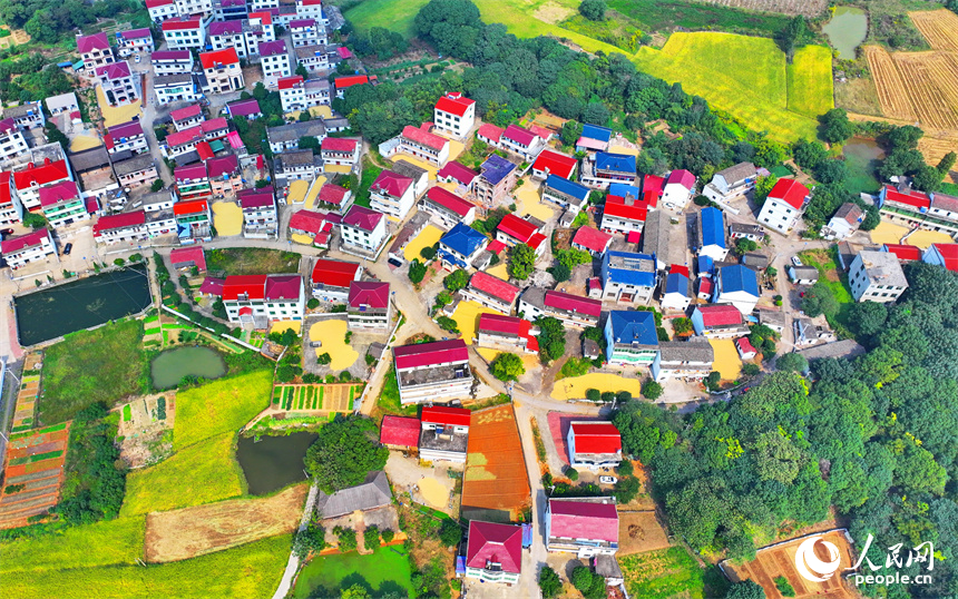 航拍鏡頭下一幅多彩斑斕的秋日畫卷。人民網 朱海鵬攝