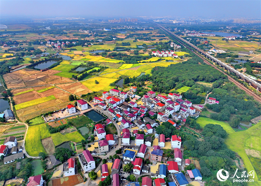 航拍鏡頭下一幅多彩斑斕的秋日畫卷。人民網 朱海鵬攝