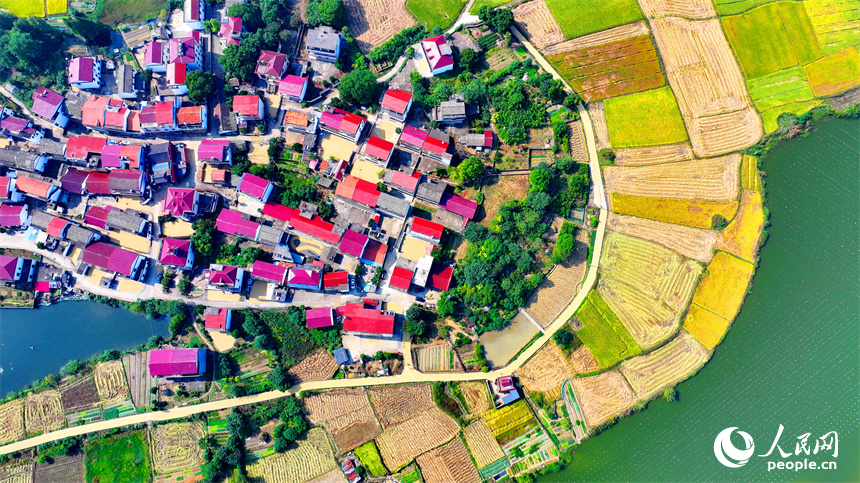 航拍鏡頭下一幅多彩斑斕的秋日畫卷。人民網 朱海鵬攝