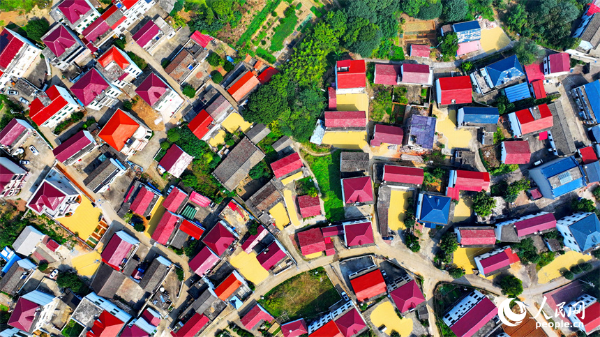 航拍鏡頭下一幅多彩斑斕的秋日畫卷。人民網 朱海鵬攝