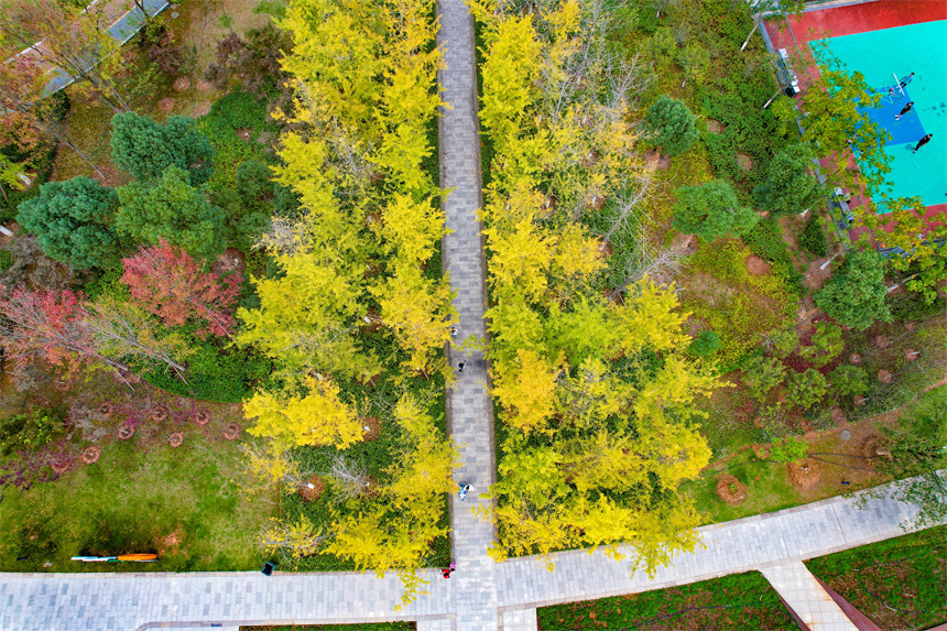 廣昌縣一處城市公園。危仁鵬攝