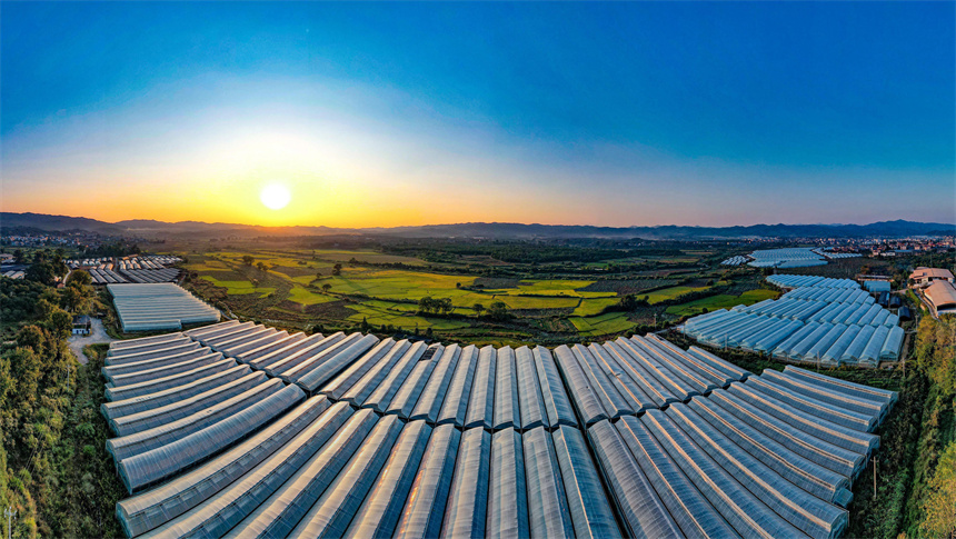 航拍江西省撫州市廣昌縣頭陂鎮西港村大棚蔬菜種植基地。危仁鵬攝