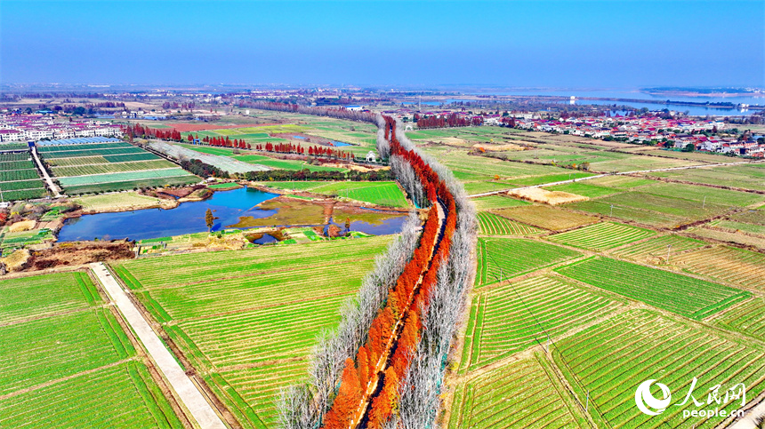 南昌縣塔城鄉，寬敞整潔的鄉村公路，與農房、田園相映襯，構成一幅美麗的新農村畫卷。人民網 朱海鵬攝