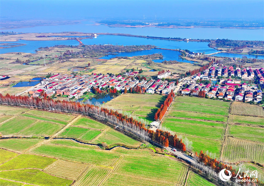 南昌縣塔城鄉，寬敞整潔的鄉村公路，與農房、田園相映襯，構成一幅美麗的新農村畫卷。人民網 朱海鵬攝