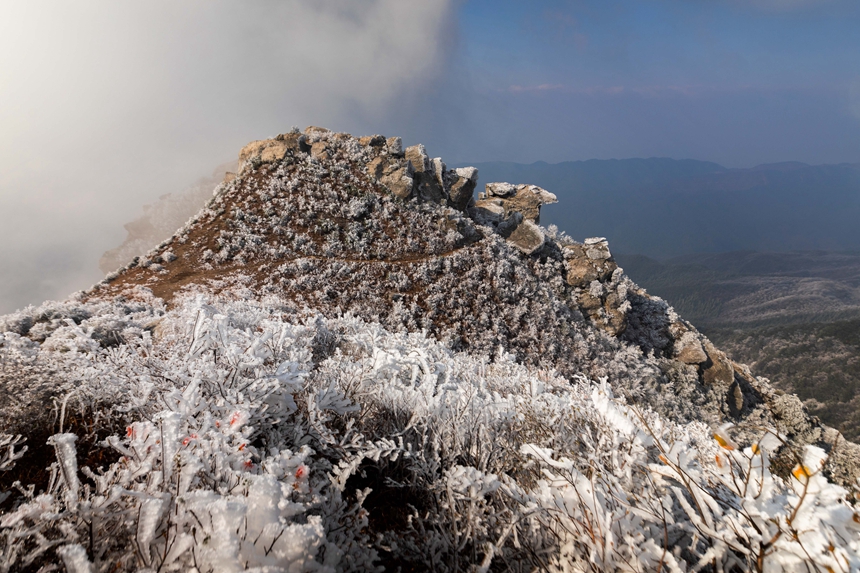 秋山霧凇景觀美如畫。周亞茂攝