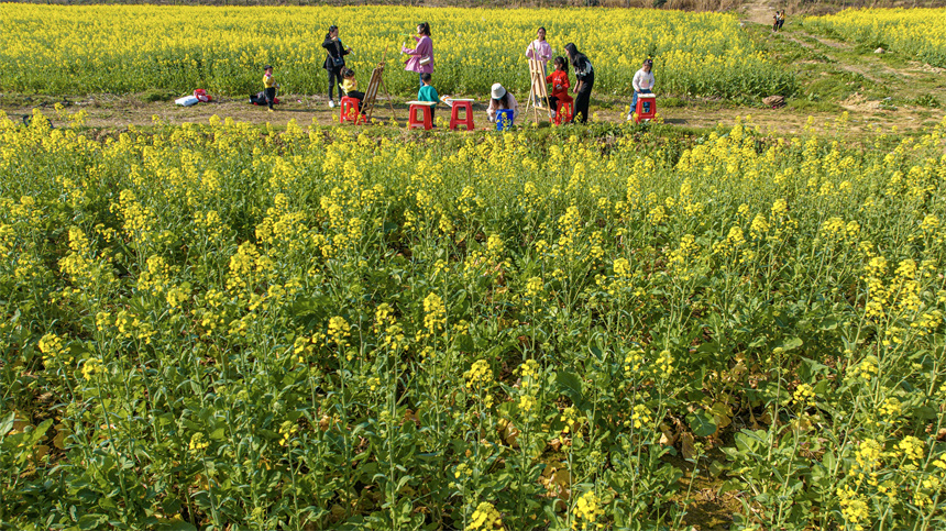 孩子們在油菜花地里作畫。李煜祖攝