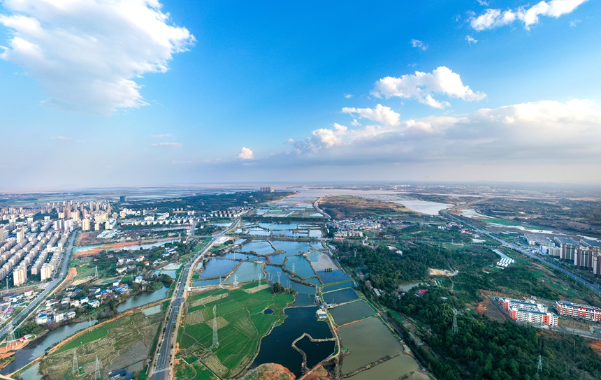 航拍下的共青城市碧波蕩漾、風光綺麗，宛如一幅渾然天成的“山水畫”。潘成攝