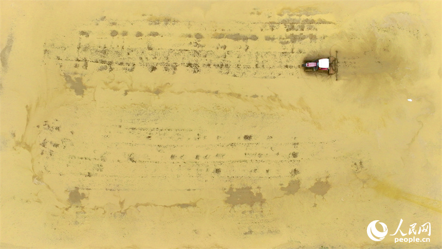 南昌市南昌縣塔城鄉青嵐村，農機手駕駛著拖拉機在翻耕農田，一派忙碌景象。人民網 朱海鵬攝