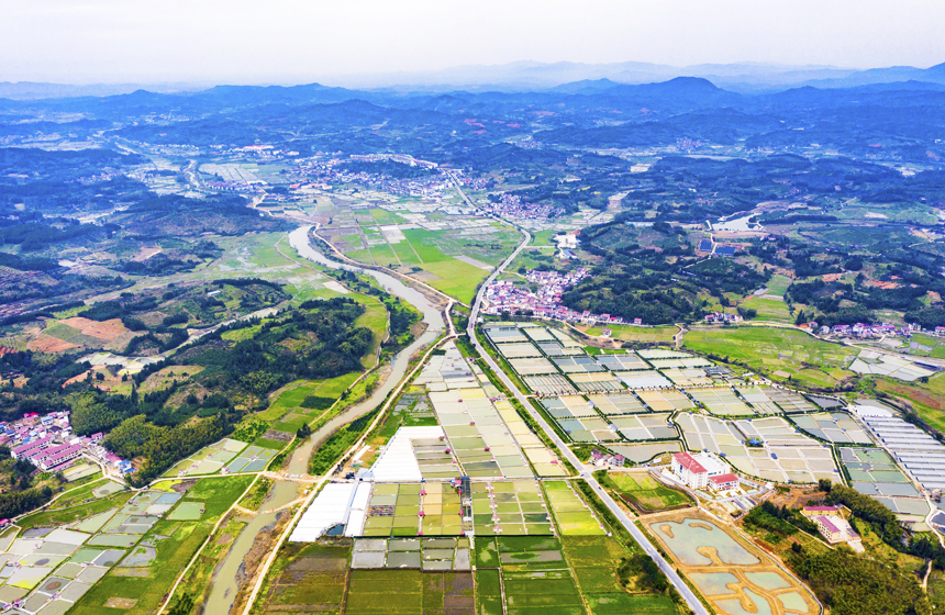 南豐縣太和鎮丹陽村，甲魚塘星羅棋布，猶如大地調色板。謝東攝