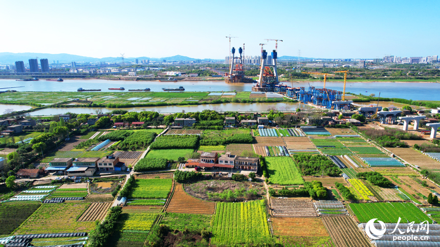 南昌市東湖區揚子洲鎮蔬菜基地綠意盎然。人民網記者 毛思遠攝