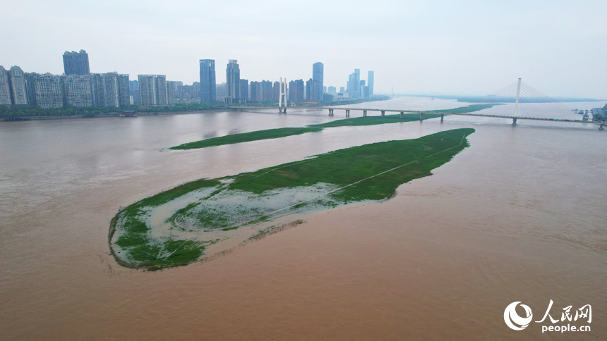 4月6日，贛江水位持續上漲，裸露的江心洲面積迅速縮小。人民網記者 毛思遠攝