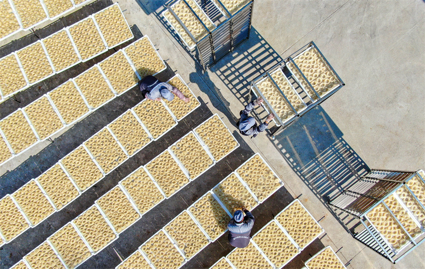 工人們正利用晴好天氣晾曬米粉。詹繼成攝