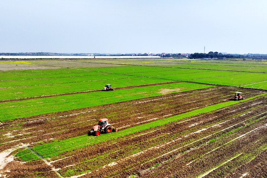 農機手正駕駛著翻耕機在田間來回穿梭。潘成攝