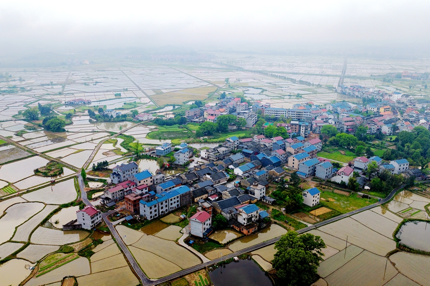 航拍鏡頭下的江西省吉安市吉水縣水南鎮春耕圖景。廖敏攝