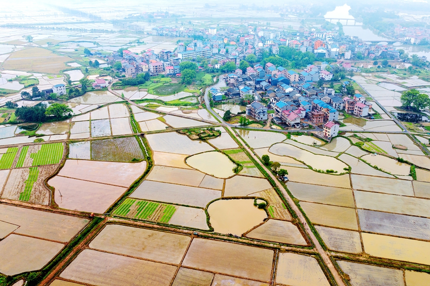 航拍鏡頭下的江西省吉安市吉水縣水南鎮春耕圖景。廖敏攝