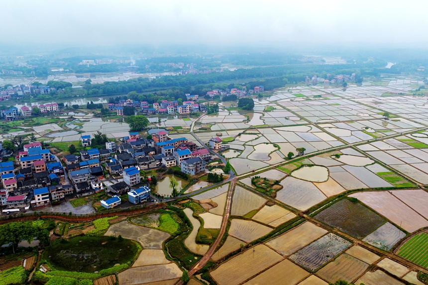 航拍鏡頭下的江西省吉安市吉水縣水南鎮春耕圖景。廖敏攝