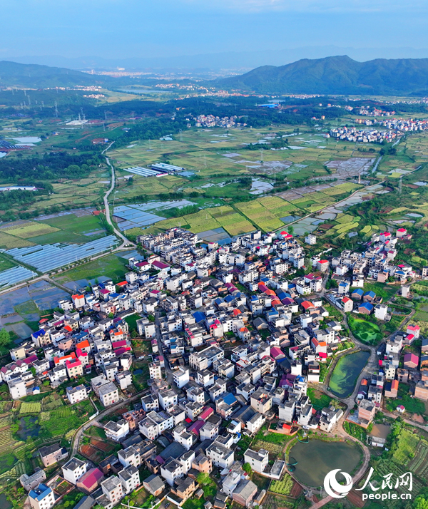 吉安市永新縣蓮洲鄉，阡陌縱橫，房屋林立，鄉村美景怡人。人民網 朱海鵬攝