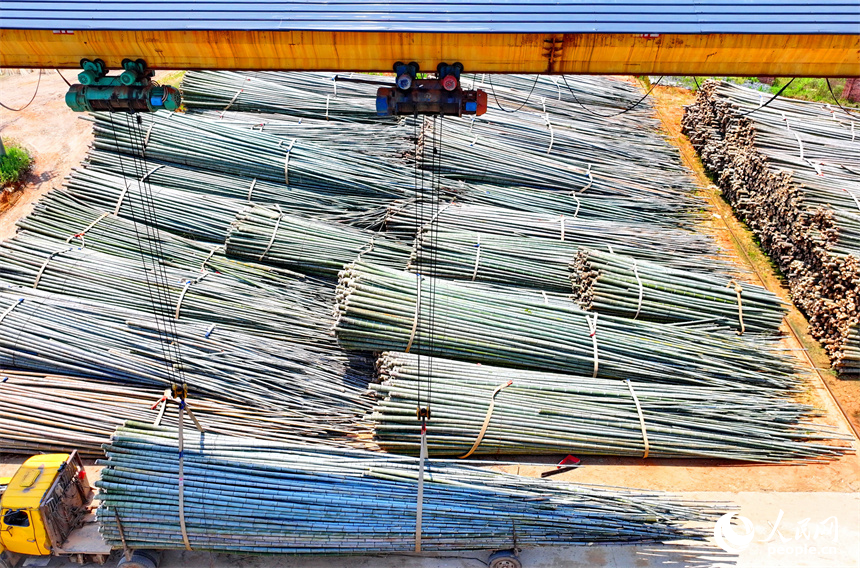 宜春市宜豐縣潭山鎮洑溪村竹制品生產基地，竹農前來銷售收獲的毛竹。人民網 朱海鵬攝