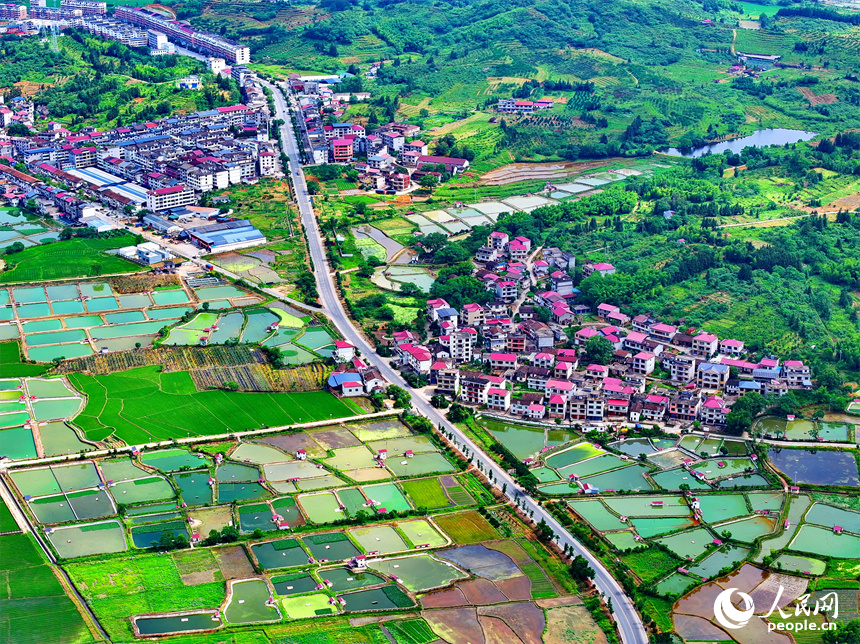 撫州市南豐縣太和鎮的甲魚養殖塘星羅棋布、色彩斑斕。人民網 朱海鵬攝